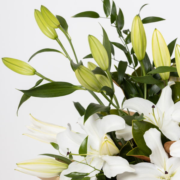 Seasonal Lily Bouquet_flowers_delivery_interflora_nz