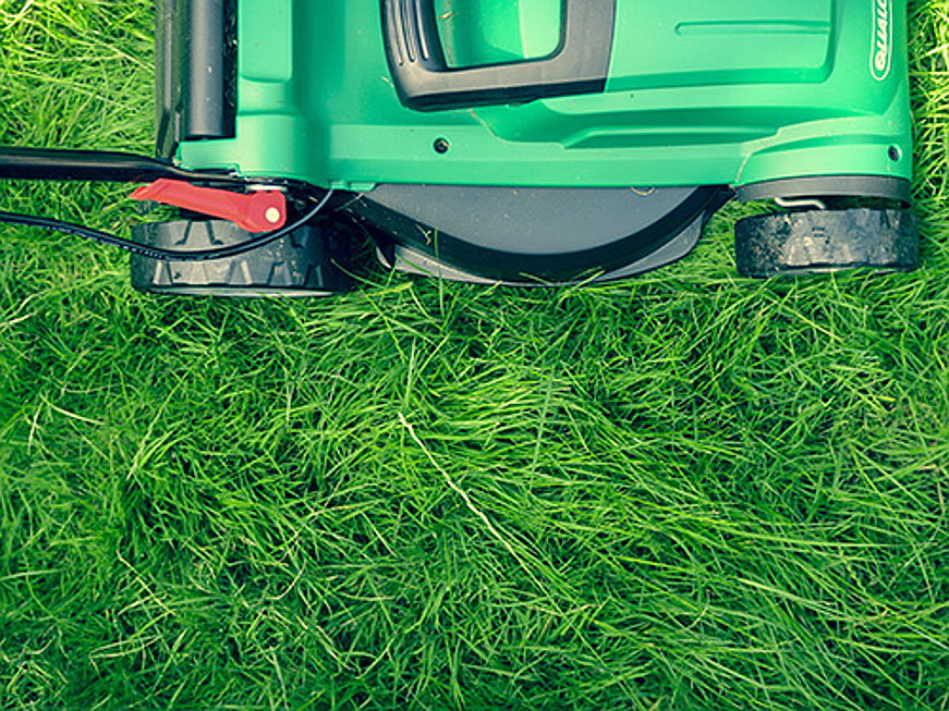  Hamburg
- Smart gardens offers plenty of convenience and opportunities to save money. Learn everything you need to know about mowing robots, irrigation and much more!