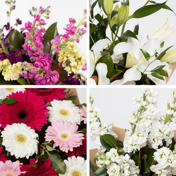 Simply Seasonal_flowers_delivery_interflora_nz