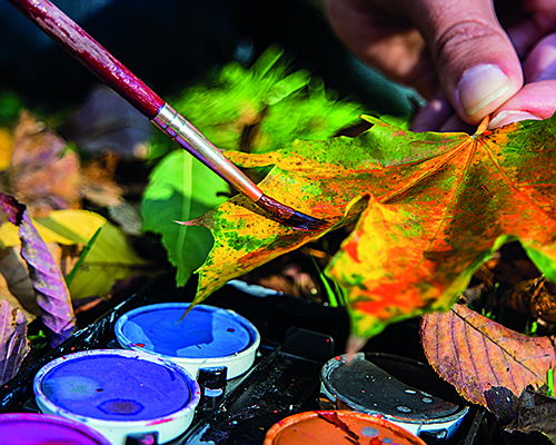  Magdeburg
- Buntes Herbstblatt, dass mit Wasserfarben bemalt wird