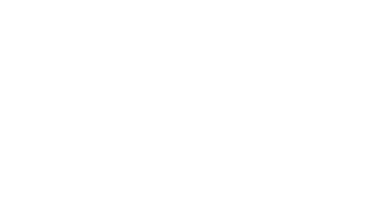 The Thesis Foundation