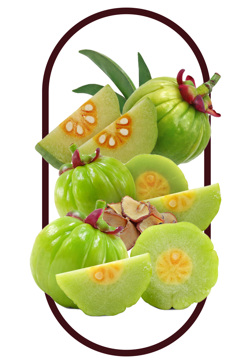 several pieaces of Garcinia Cambogia, 1 of 5 ingredients in the Best Weight Loss Pills Singapore