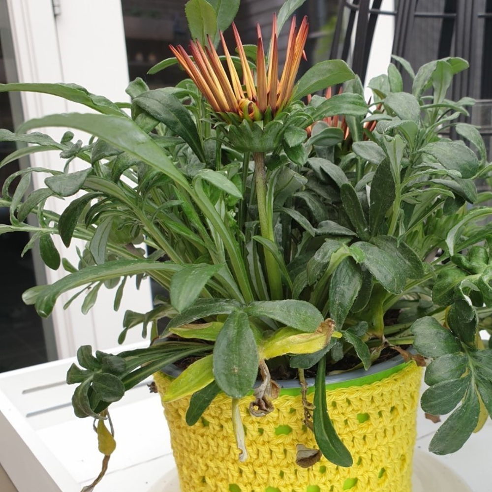Flowerpot YELLOW