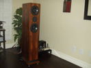 Rosewood finish and ribbon tweeters