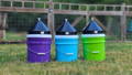 black-poultry-pyramid-roost-proof-bucker-covers-on-vibrant-color-buckets