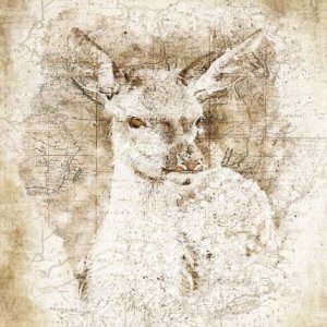 Piratum - создание рисованной карты - Фотошоп экшен