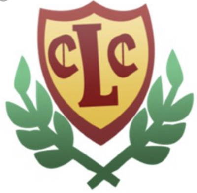 Lintz cricket club Cricket Club Logo