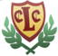 Lintz cricket club logo
