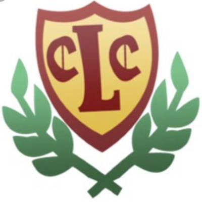 Lintz cricket club Logo