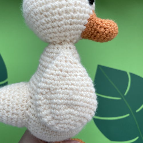 Duck Frida