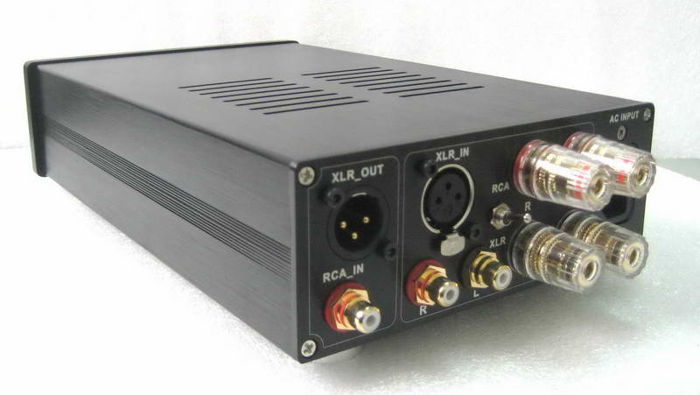 ICEpower 125ASX2-- A100P Mono Block 550w (RCA & XLR Input)