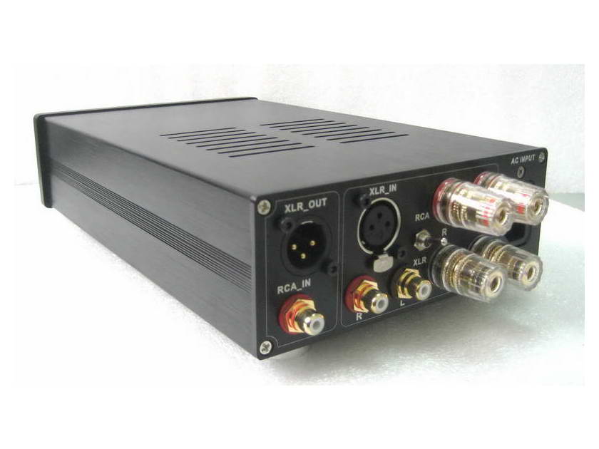 ICEpower 125ASX2-- A100P Mono Block 550w (RCA & XLR Input)