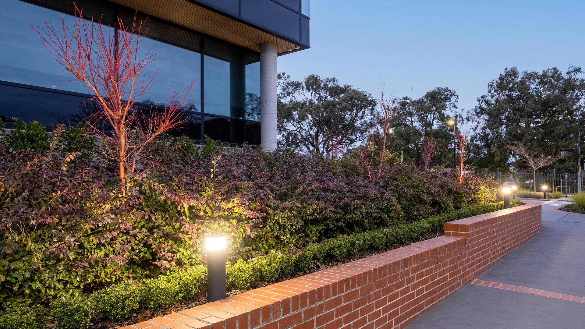 Night time illuminated view of Havit Lighting LED Bollard Lights situated in one of the garden beds of Luther College
