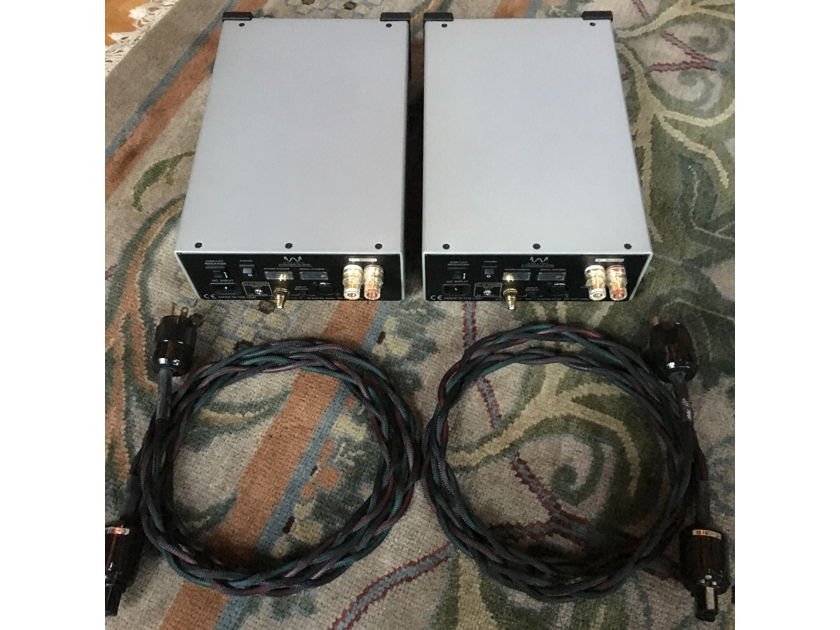 Wyred 4 Sound SX-1000 Amplifiers