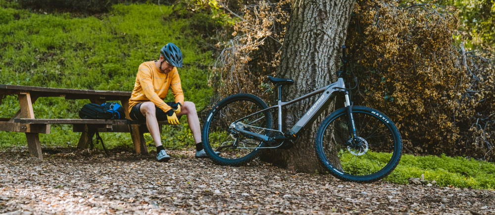 Denago frequently uses Bafang motors in their electric bikes