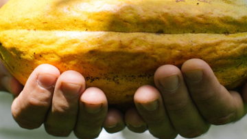 Main Content Image