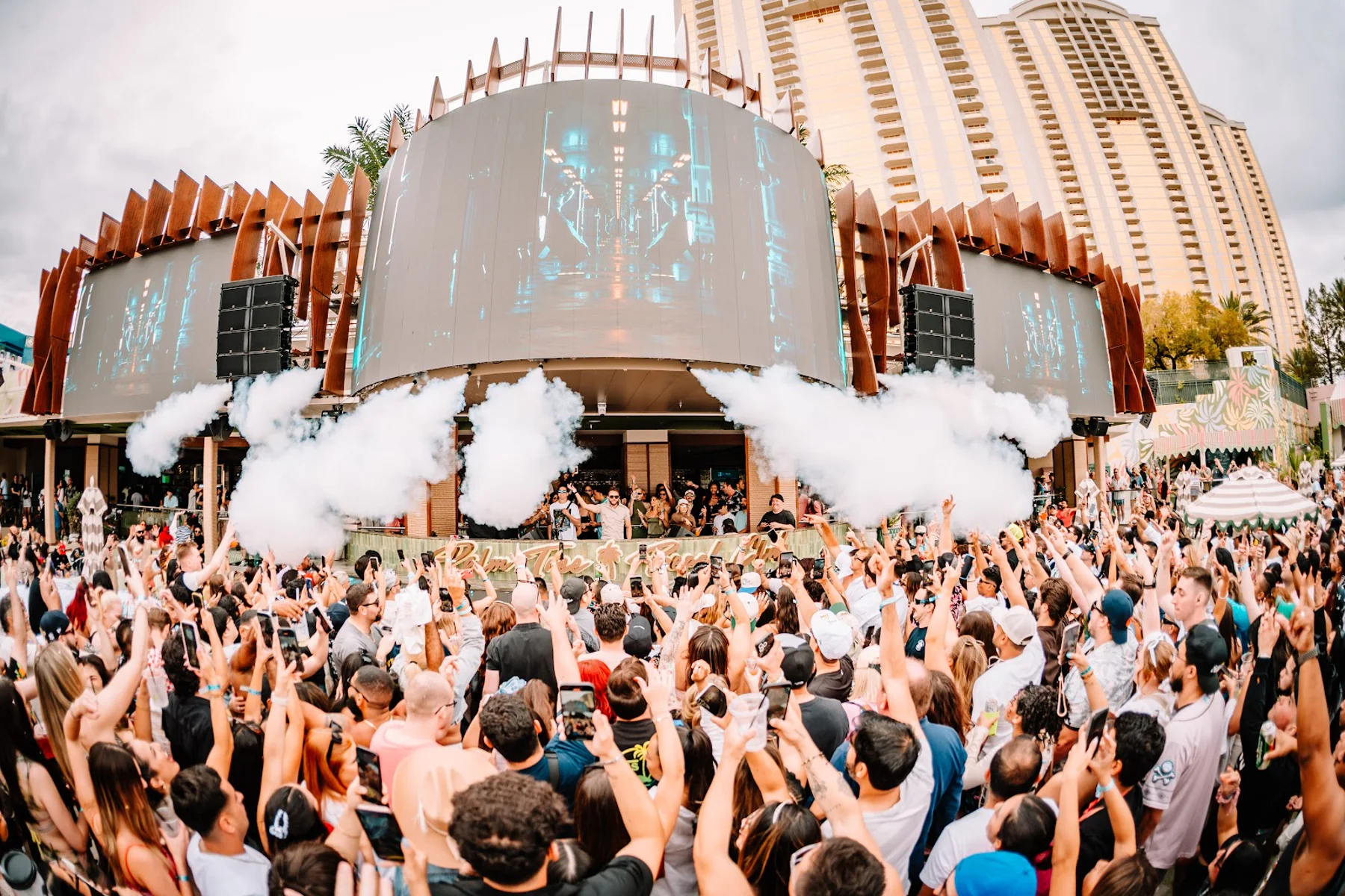 Palm Tree Beach Club in Las Vegas