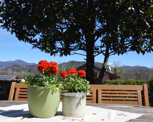 Cooking classes Faloppio: Cooking class on Valtellina products