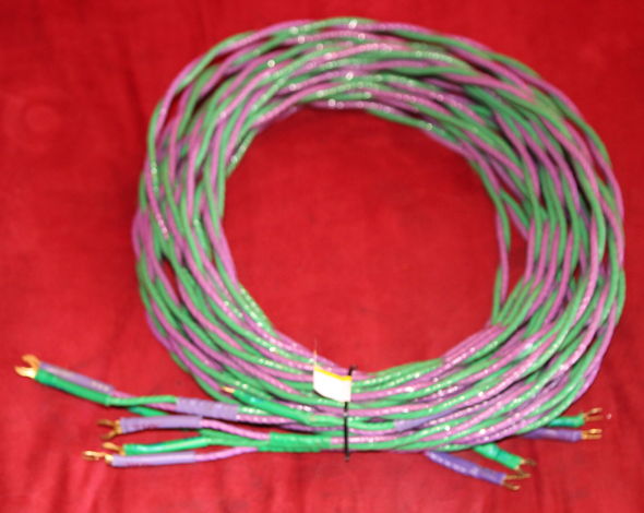 One of long bi wired speaker cables