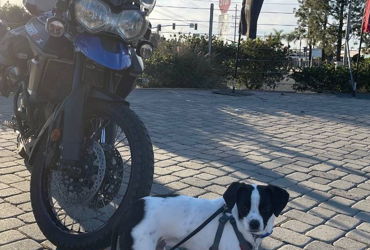 2015 TRIUMPH TIGER 800 XCX motorcycle for rent near Oak Park, CA