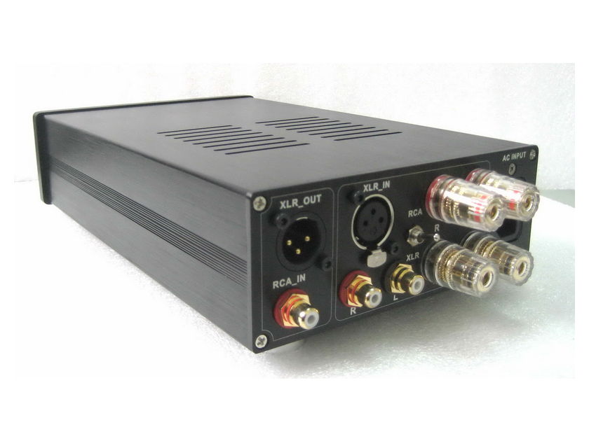 B&O ICEpower 125ASX2 ---  A100P Mono Block 550w  & SE Amplifier