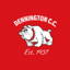 Dennington Cricket Club logo