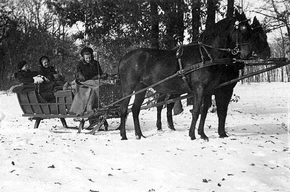 Vinter kanetur wiki commons