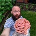 Mushroom Farmers admiring Pink Oyster Mushrooms