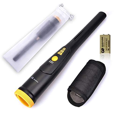 Pinpointer Metal Detector vs Garrett AT Pro Metal Detector Slant