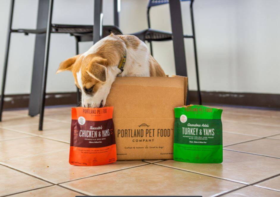 A puppy in a dog food delivery box licking a wet dog food from the pouch.