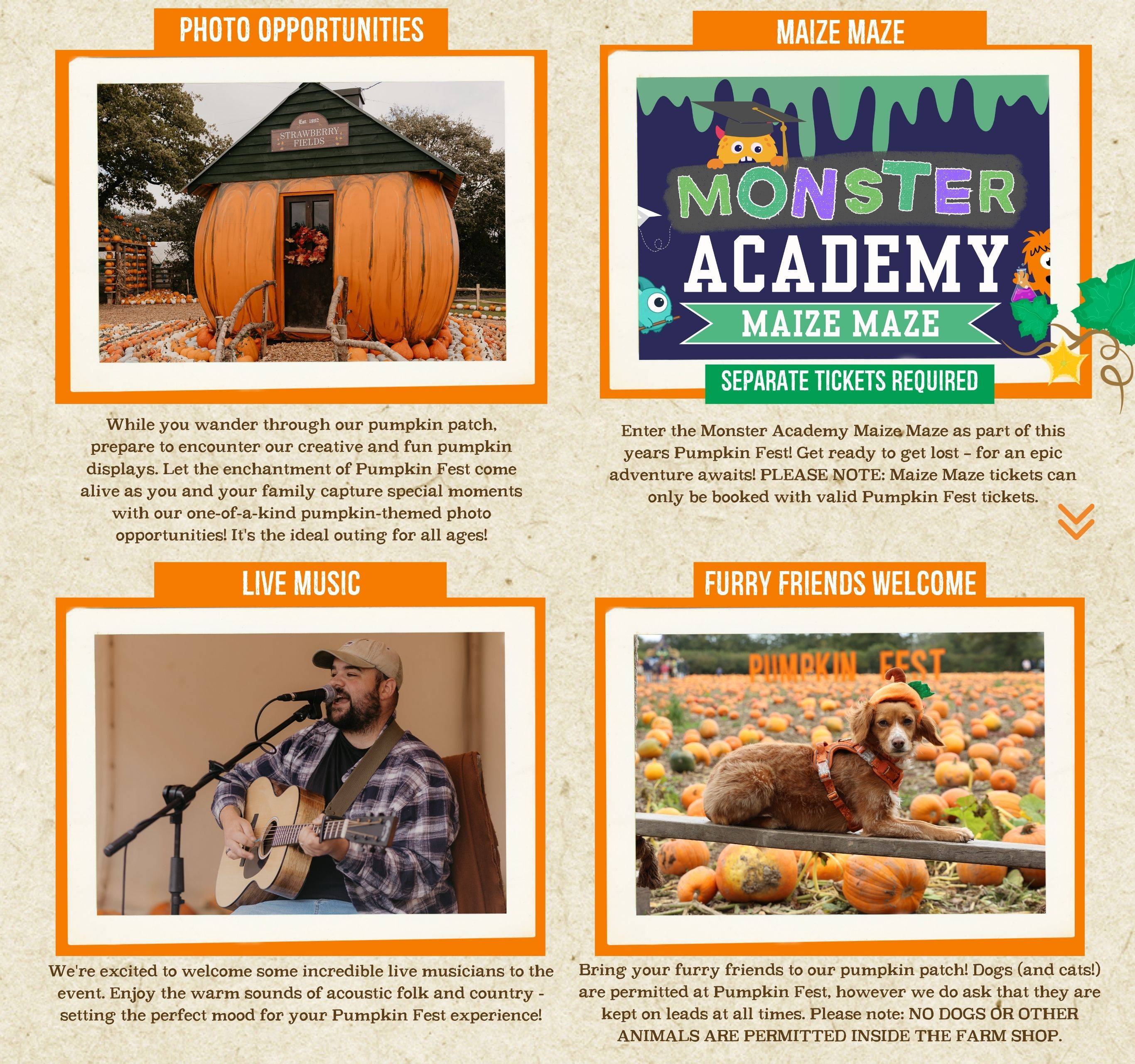 Discover the biggest and best pumpkin festival in Devon & Cornwall, and South West! Pumpkin Fest at Strawberry Fields is the ultimate family day out with a huge pumpkin patch, pumpkin picking, maize maze, barrel train rides, photo spots, tasty autumn treats & fun for all ages. Book now!