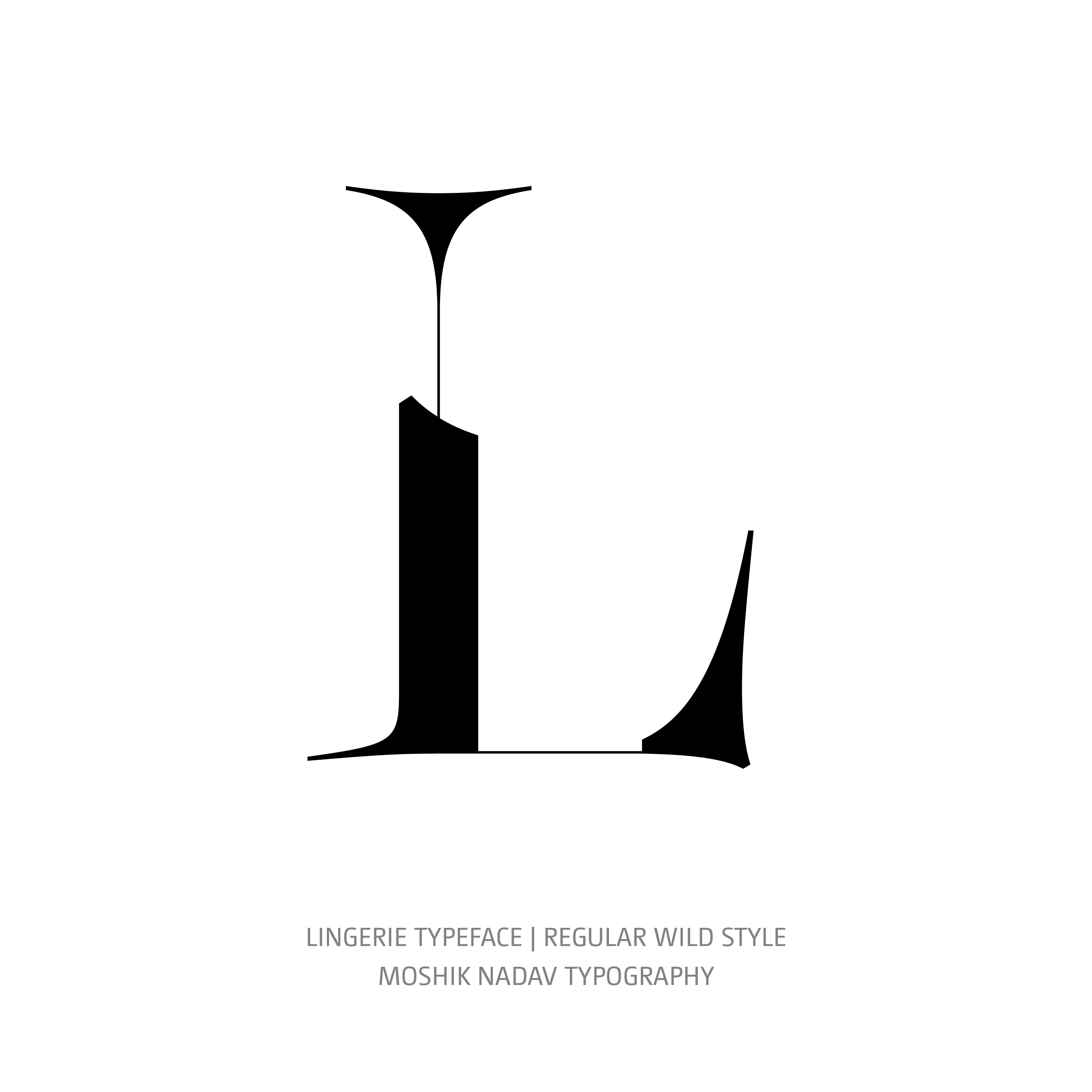 Lingerie Typeface Regular Wild L