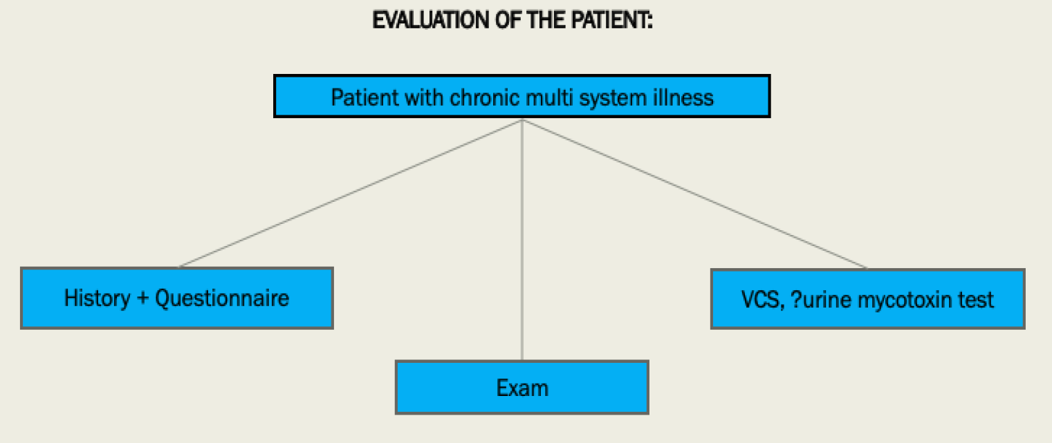 Simple But Effective Treatment of Mold Toxicity -