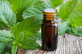 Peppermint Essential Oil for sinus infections