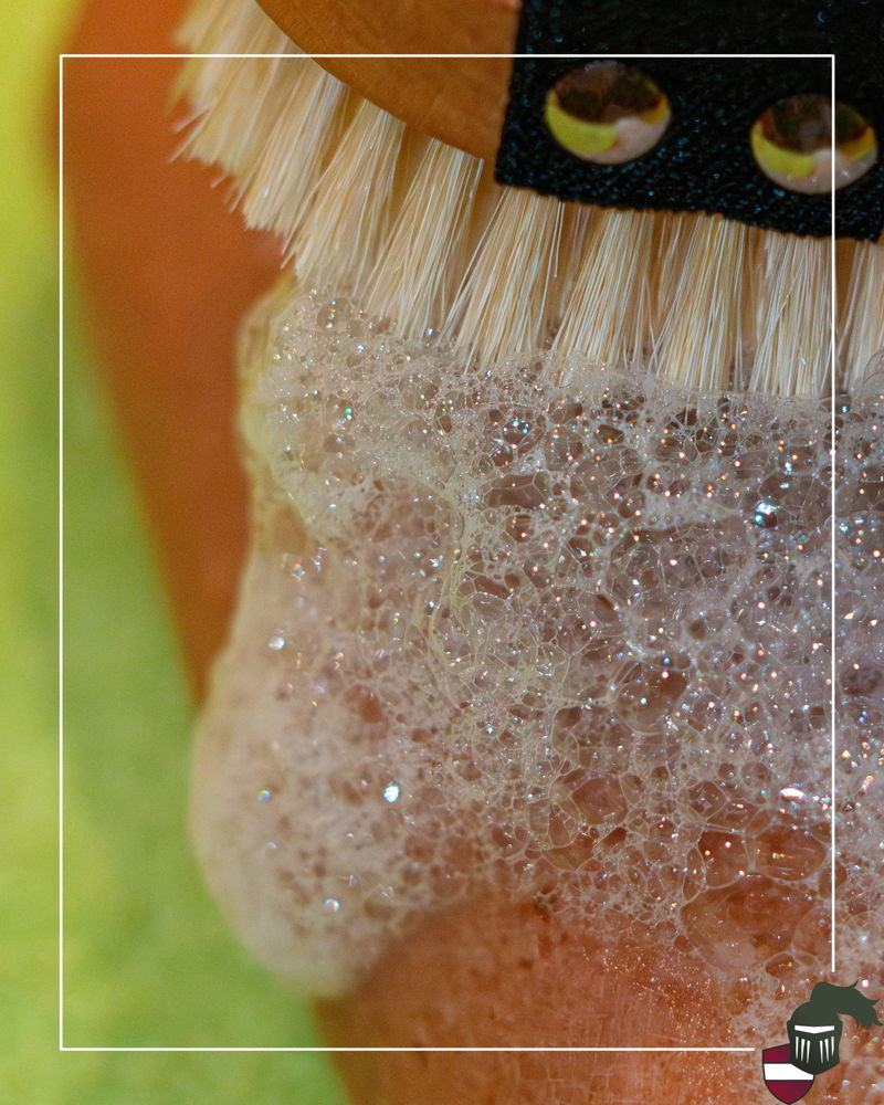 🫧🌿 Schaum. Wärme. Entspannung. 🫧🌿

Unser Seifenschaumritual ist Wellness, die man spürt:
Warmer, weicher Schaum trifft auf sanfte Bürstenbewegungen und sorgt für ein besonderes Gefühl auf der Haut.

Ein kleines Ritual zum Abschalten, Loslassen und Ge