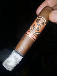 Nice ash