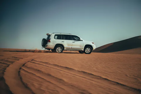 Half-Day Desert Safari & Camel Ride Local Guided Tour
