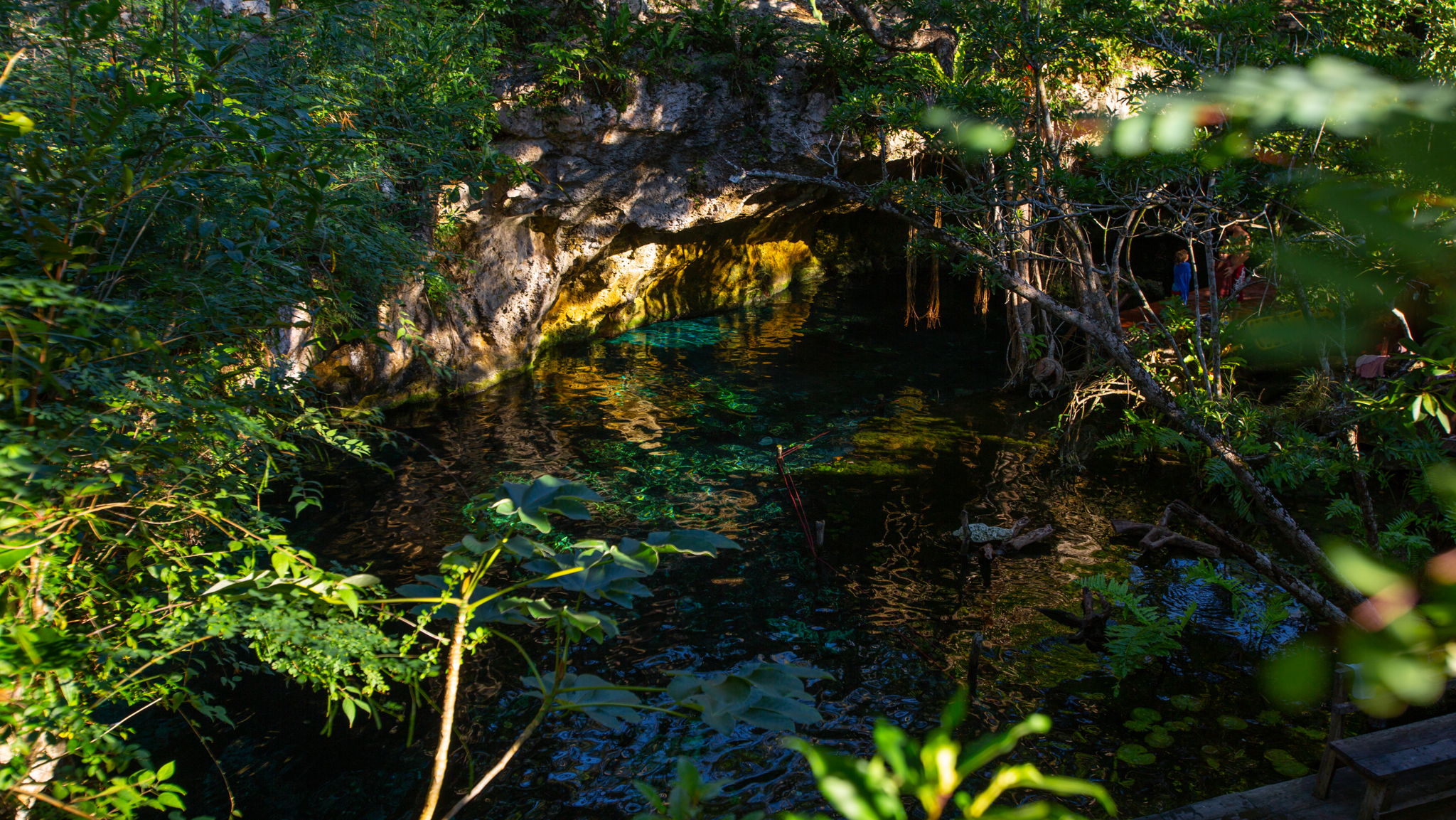 Cenote Trail