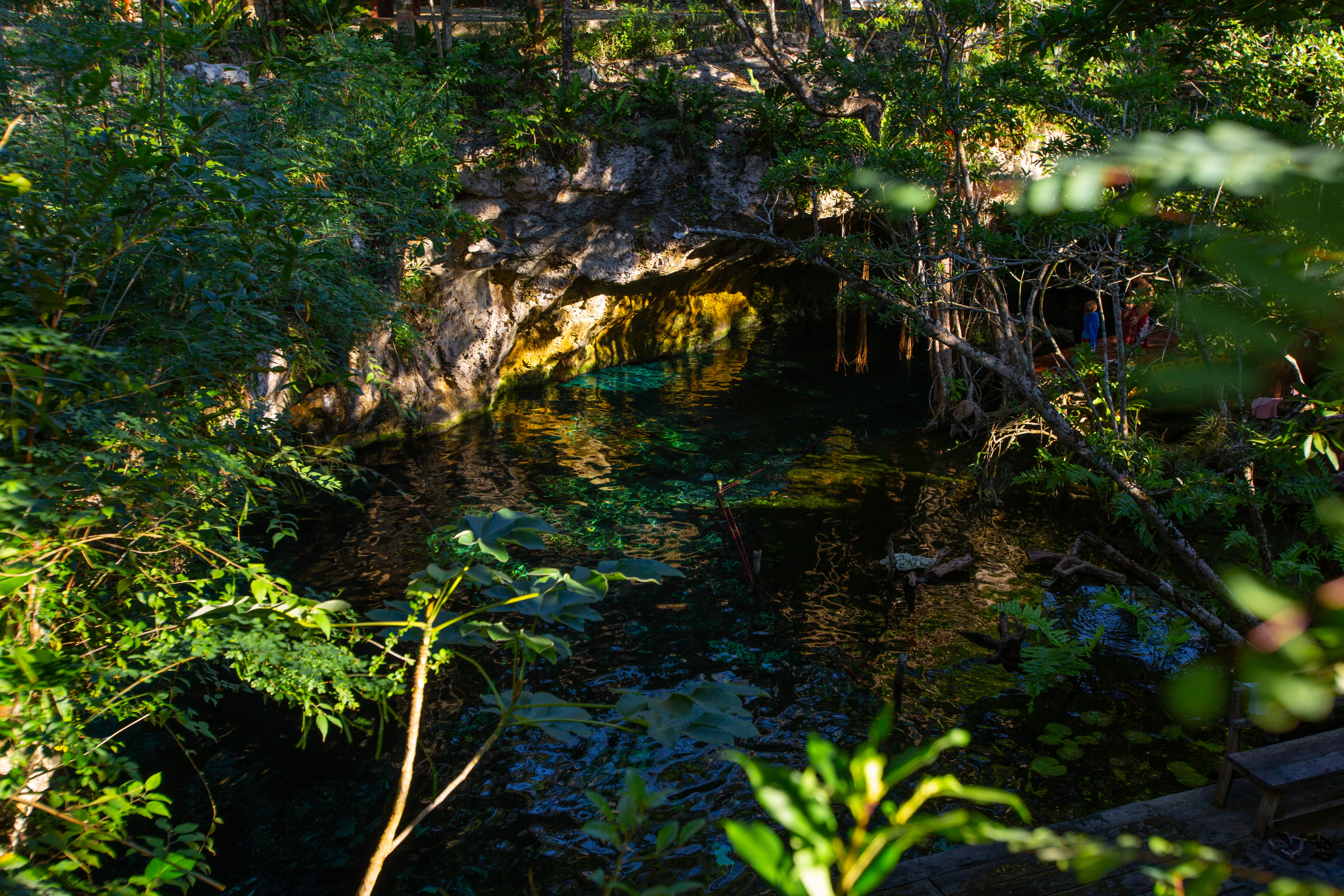 Cenote Trail