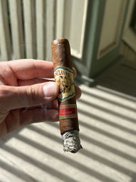 Nice ash