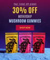 Shop magic mushroom gummies, cannabis gummies
