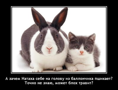 А зачем Натаха себе на голову из баллончика пшикает? Точно не знаю, может блох травит?