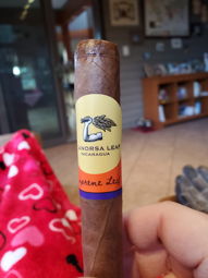 Cigar Session Photo