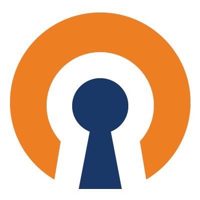 Alternatives to OpenVPN logo