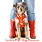 Lucky Pup Dog Rescue logo