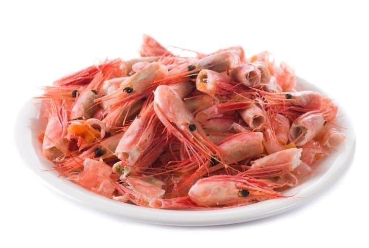 shrimp shells and tails are a choking hazard for dogs.