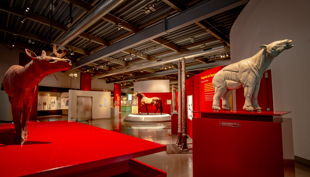 westfälisches pferdemuseum dauerausstellung