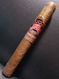 Cigar Session Photo