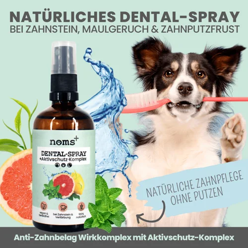 Dentalspray bei Zahnstein für Hunde und Katzen - Jahresvorrat