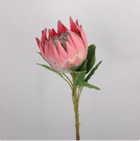King Protea - Realistic Artificial Flowers - Image 7